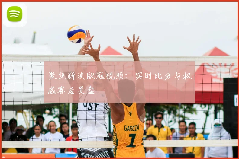 聚焦新浪欧冠视频：实时比分与权威赛后复盘